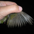 DSCN0706